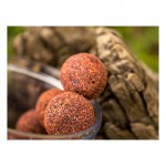 Топчета за куки Hookbait Hard 72 часа Meat & Fish 20 мм - Select Baits